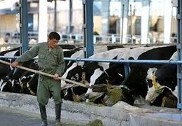 اعتبار ۸۹۴ میلیارد تومانی برای دامداران و مرغداران تهران