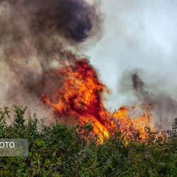 مهار آتش در میانکاله