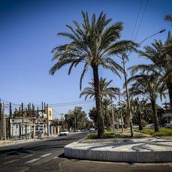 خیابان‌های بم در امتداد نور و نخل