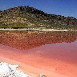 تأکید بر حفظ زیست‌بوم؛ تالاب مهارلو با رویکرد محیط‌زیستی ساماندهی می‌شود