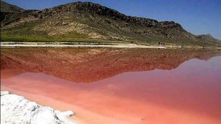 تأکید بر حفظ زیست‌بوم؛ تالاب مهارلو با رویکرد محیط‌زیستی ساماندهی می‌شود