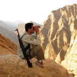 بیمه بی‌نام به داد مصدومان زاگرس نرسید