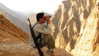 بیمه بی‌نام به داد مصدومان زاگرس نرسید