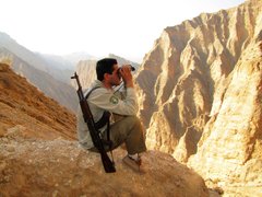 بیمه بی‌نام به داد مصدومان زاگرس نرسید
