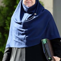 آخرین وضعیت افزایش اعتبار کالابرگ از زبان سخنگوی دولت