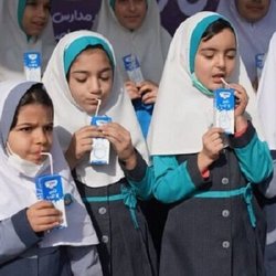 زمان توزیع رایگان شیر در مدارس مشخص شد