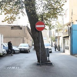 طرشت؛ محله ای با میراث کهن و باغ‌هایی در حال نابودی