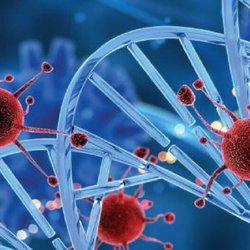 سرطان پستان در مراحل اولیه ۹۰ درصد قابل درمان است