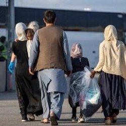 شناسایی ۴.۸ میلیون تبعه مجاز و غیرمجاز در ایران