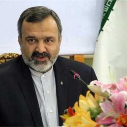 رئیس سازمان حج و زیارت تغییر کرد