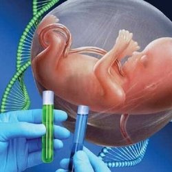 آگاهی ژنتیکی؛ گامی مؤثر برای کاهش معلولیت‌های ارثی
