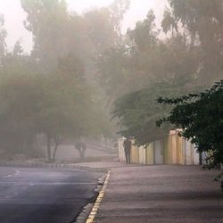 پیش‌بینی وزش باد شدید همراه با گرد و خاک در تهران