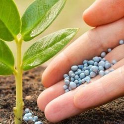 تولید داخلی ۸۵ درصد امنیت غذایی را تأمین می‌کند