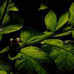 برندگان رقابت عکاسی  «طبیعت زیر ذره‌بین»