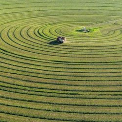 راهنمای بیابان‌زدایی؛ تجربه موفق چین در احیای بیایان