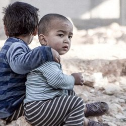 ۸۷ درصد کودکان بهزیستی بدسرپرست هستند