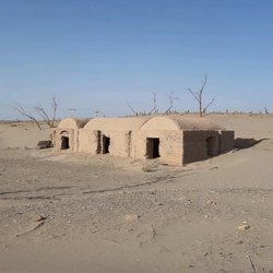 از آفرودسواری تا قاچاق چوب تاغ؛ عوامل انسانی تخریب بیابان‌ها را تشدید کرده‌اند