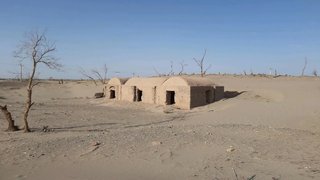 از آفرودسواری تا قاچاق چوب تاغ؛ عوامل انسانی تخریب بیابان‌ها را تشدید کرده‌اند
