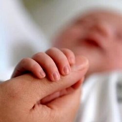 مناطق مرفه تهران کمترین نرخ فرزندآوری را دارند