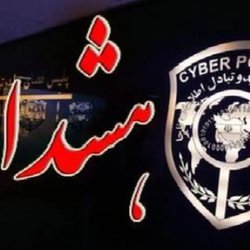 هشدار پلیس؛ فقط از پیج‌هایی خرید کنید که سایت دارند