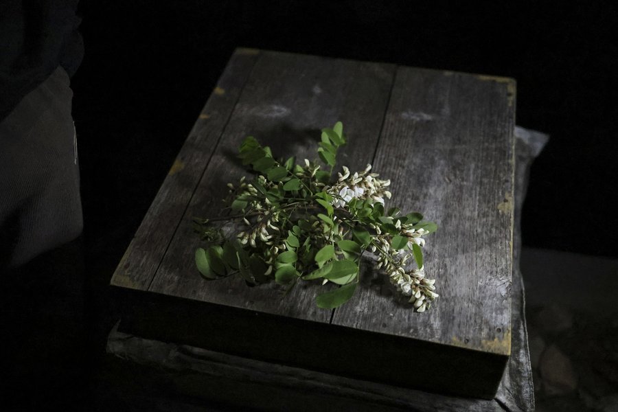 Skorea_Kim_Bees020.jpg