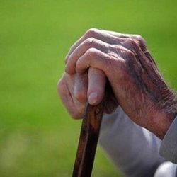 هشدار دبیرخانه سالمندی: ایران طی ۳۰ سال آینده وارد مرحله بحرانی سالمندی می‌شود