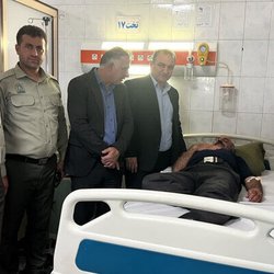 حمله با تبر به جنگلبان چالوس؛ قاچاقچی چوب متواری شد