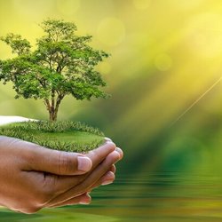 پایداری زیست‌محیطی؛ ‌پیش‌شرط رفاه امروز و فردا