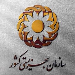 برنامه ویژه بهزیستی برای خدمات رسانی به معلولان و مددجویان در مراسم تشییع رهبر شهید