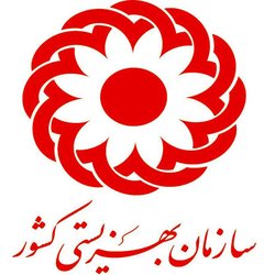 درخواست بهزیستی برای توزیع منظم بودجه و تقویت حمایت از معلولان و مددجویان