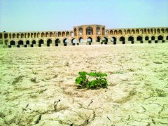 چه کسی مقصر بحران آب است؟ مردم یا سیاست‌گذاران؟
